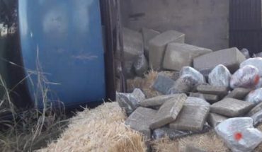 translated from Spanish: Ensures GN 198 oat bales with marijuana in Zacatecas