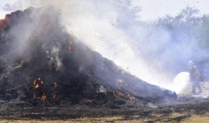 translated from Spanish: Flames consume pasture on a site located in Angostura