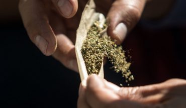 translated from Spanish: Legal marijuana? Failures and obstacles along the way for regulation