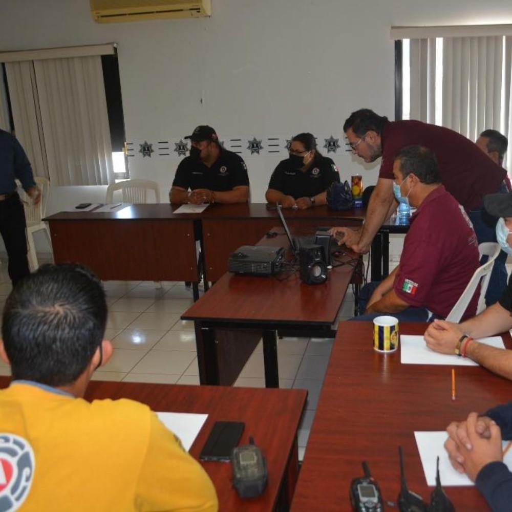 Provide bee management training to Ahome Civil Protection