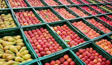 translated from Spanish: They detect ups in fruit prices of between 77% and 187% in the last year