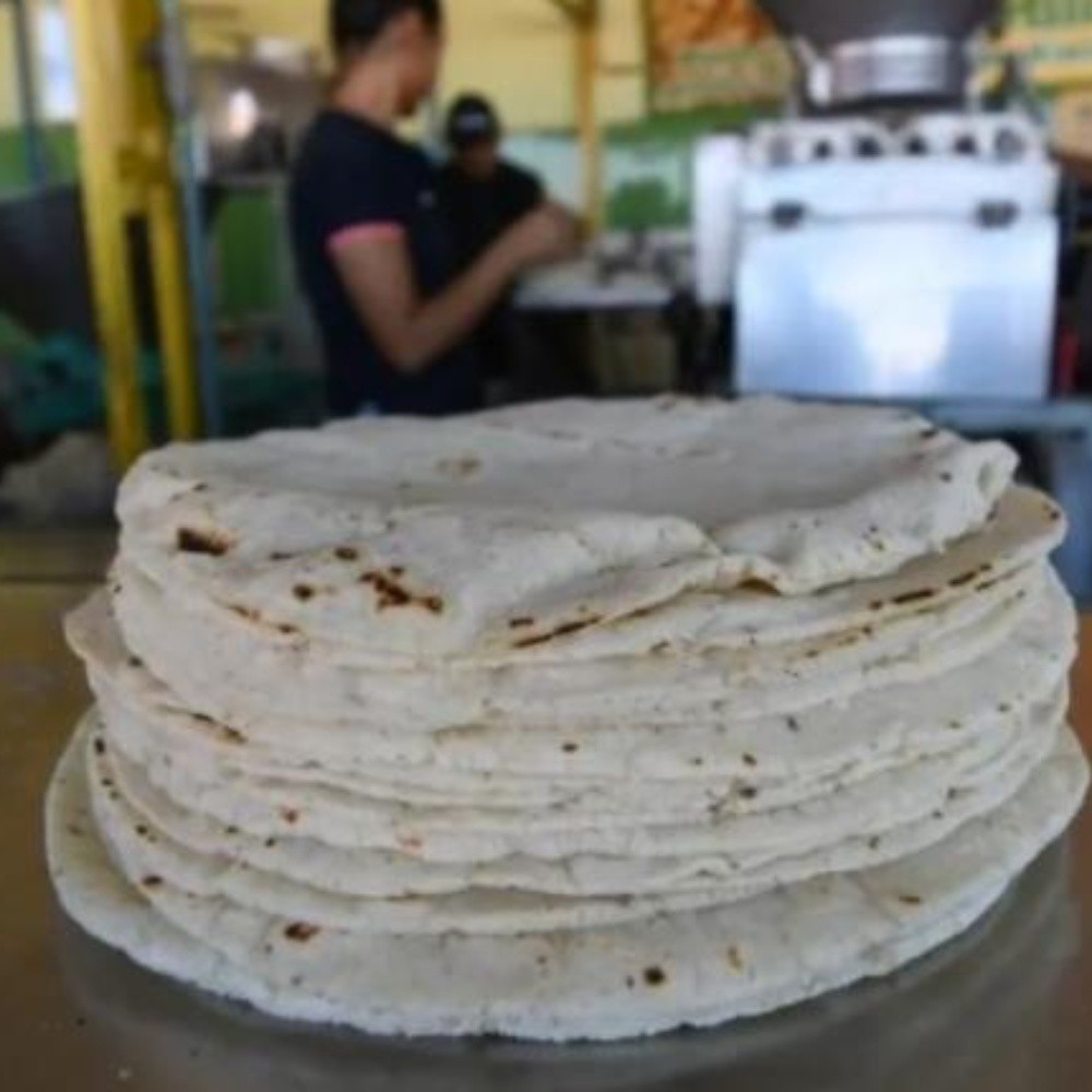 Warns Cofece fines to those who raise tortilla price