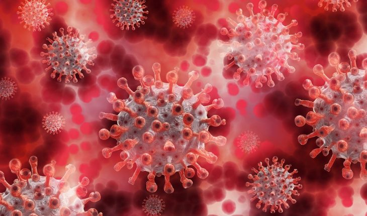 Países suspenden vuelos de Reino Unido por nueva cepa de coronavirus