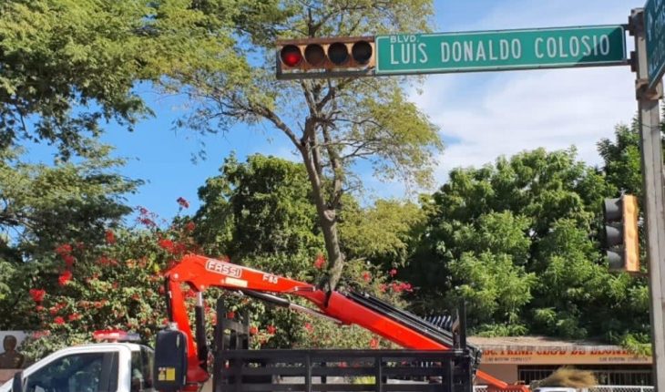 Vialidad y Transportes mejora semáforos en Guasave, Sinaloa