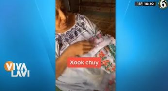 Video: Abuelita logra vender gracias a Tik Tok | Vivalavi