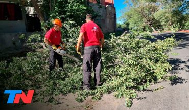 Video: Árboles y postes caídos, destrozos y cortes de luz, el saldo del temporal de viento en Buenos Aires
