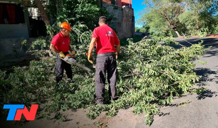 Video: Árboles y postes caídos, destrozos y cortes de luz, el saldo del temporal de viento en Buenos Aires