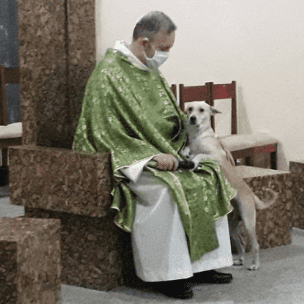 Brazilian priest goes viral for his love of dogs