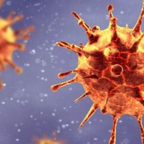 Coronavirus mutation: how worrying is the emergence of a new strain as detected in the UK