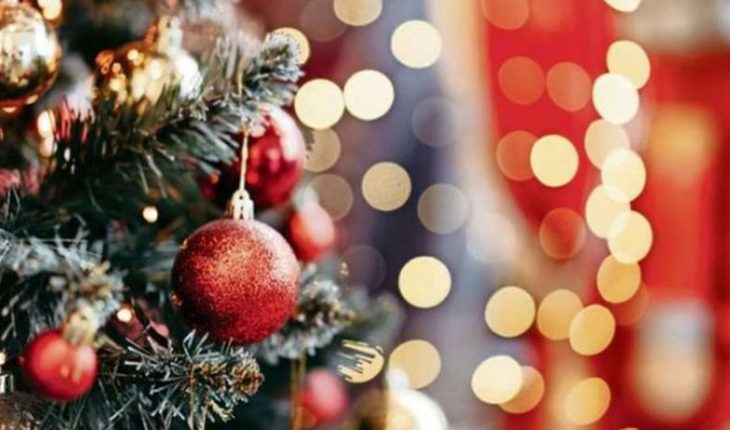translated from Spanish: Expert recommended disinfecting the Christmas tree once a day