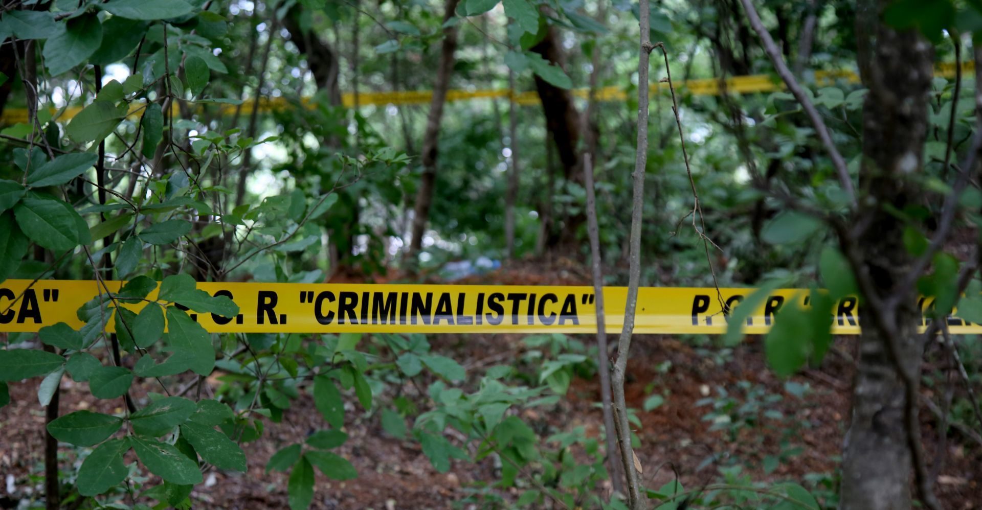 In two weeks they find 14 clandestine pits in Acámbaro, Guanajuato