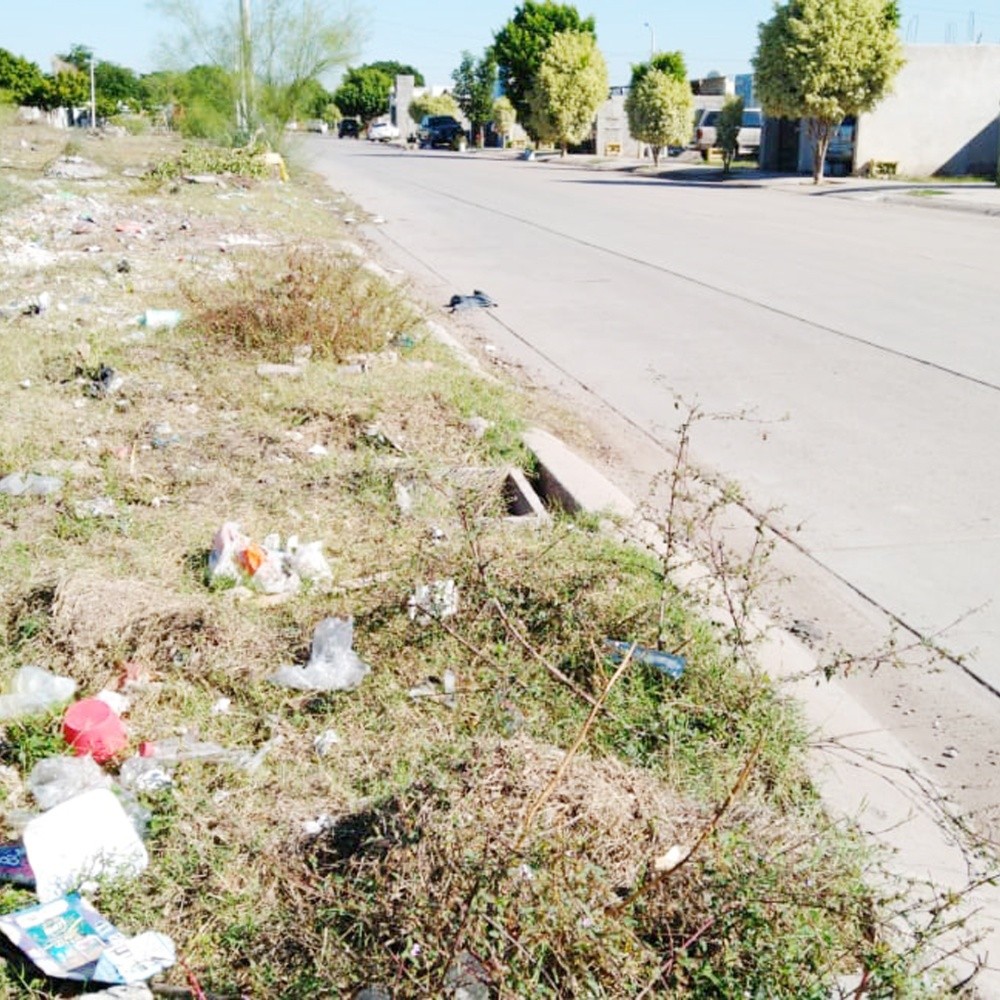Neighbors of Los Tulipanes, Los Mochis, call for land cleanup
