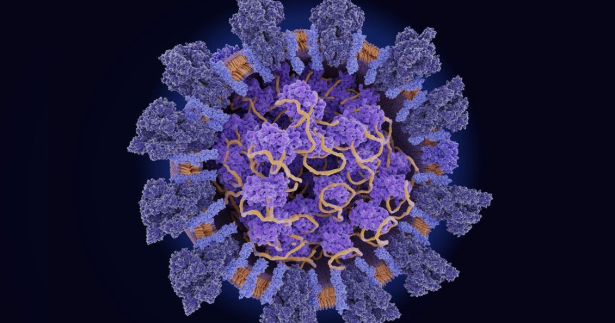 The coronavirus is mutating. What about vaccines?