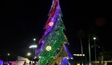 translated from Spanish: They light Christmas tree in Solidarity Square in Los Mochis