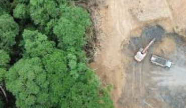 Deforestación global avanza en 24 frentes, de los cuales nueve están en América Latina