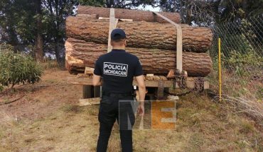 Durante el año, la División Ambiental aseguró más de 330 metros cúbicos de madera