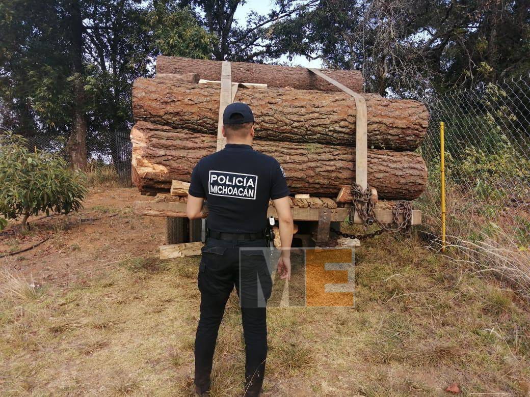 Durante el año, la División Ambiental aseguró más de 330 metros cúbicos de madera
