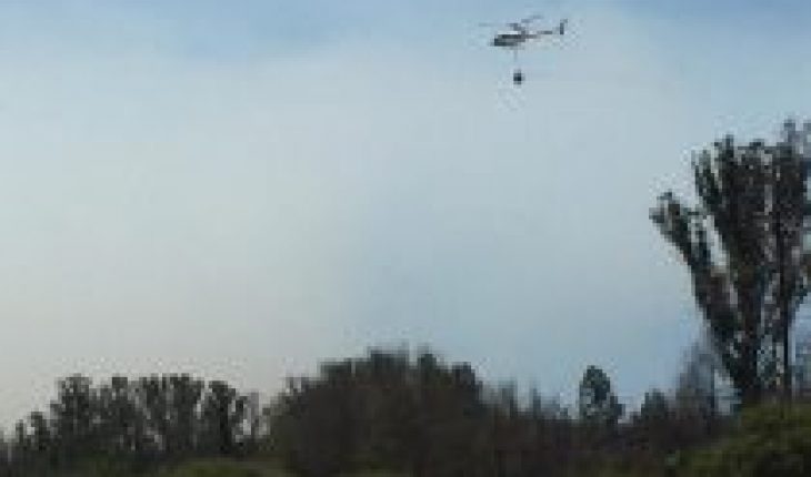 Refuerzan labores de combate al fuego tras rebrote de incendio en Quilpué cercano a Reserva Peñuelas