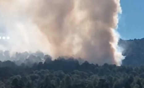Se registra un incendio forestal en Chamangario, Michoacán