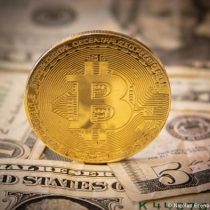 Un hombre ofrece recompensa por disco duro con USD 285 millones en bitcoines