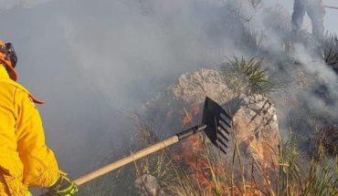 La Niña aumenta probabilidad de incendios forestales en México