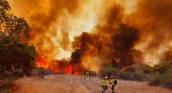 Onemi señaló que mantendrá la Alerta Roja por incendio forestal en Curacaví hasta que la emergencia este controlada