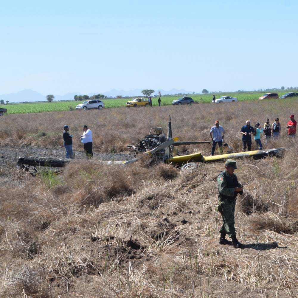 Pilot came out unscathed in plane crash in El Carrizo, Sinaloa