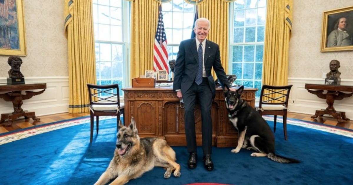 Echaron a los perros de Joe Biden de la Casa Blanca por comportamiento agresivo