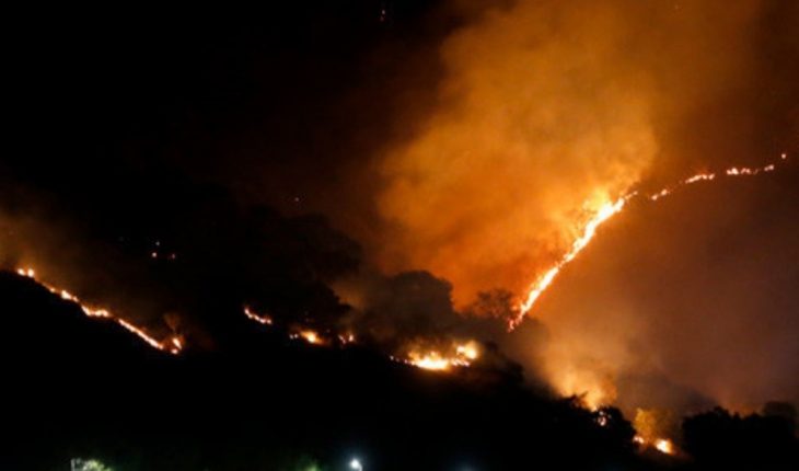 Hay más de 50 incendios forestales en distintos estados del país