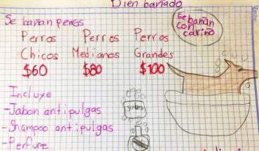 Niño baña perros en Nuevo León, para reunir dinero para la carrera de veterinario
