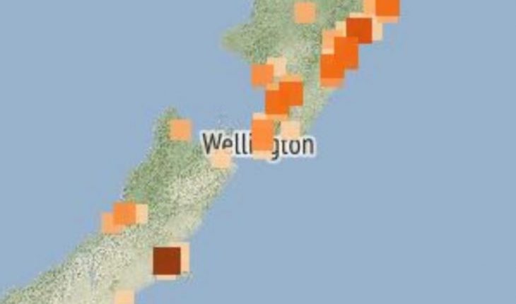 Registra sismo de 7.3 en Nueva Zelanda, hay alerta de tsunami