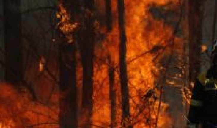 Reportan un 65% menos de superficie afectada durante esta temporada de incendios forestales