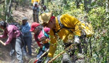 Sin condiciones para sofocar incendio en Coahuila: Sedena