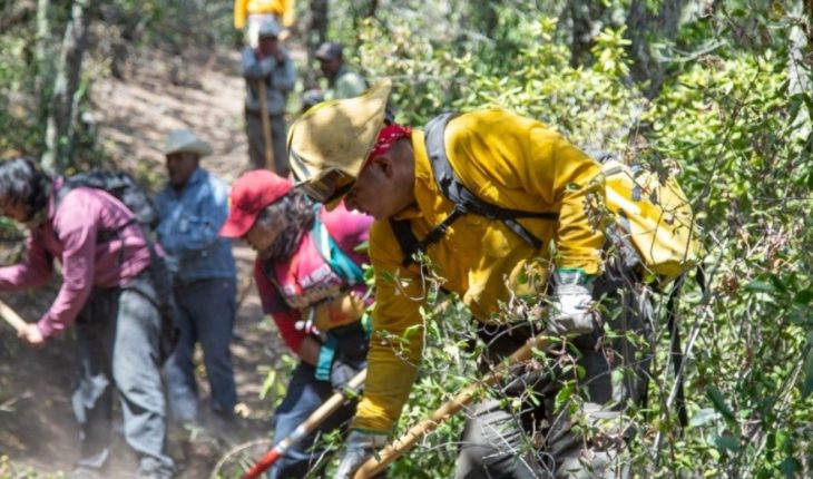 Sin condiciones para sofocar incendio en Coahuila: Sedena
