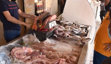 translated from Spanish: Fish sale increases by 70 percent in Guasave by Lent