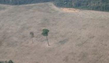 Brasil busca 1.000 millones de dólares en ayuda para reducir deforestación de Amazonas