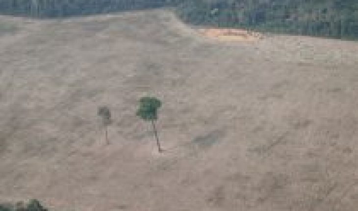 Brasil busca 1.000 millones de dólares en ayuda para reducir deforestación de Amazonas