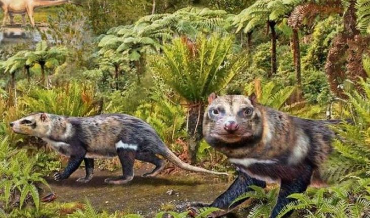 Hallan en Chile fósiles de mamífero contemporáneo de los dinosaurios