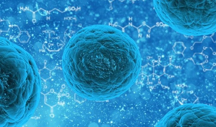 Las células madre podrían ser claves en el tratamiento del TEA