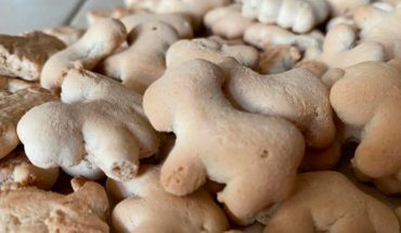 Veganos piden sean prohibidas las galletas de animalitos por “incitar al maltrato animal”
