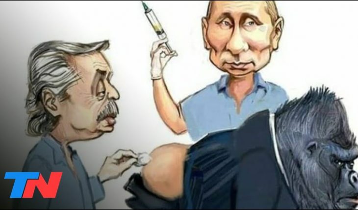 Video: La polémica caricatura que Alberto Fernández compartió en redes y borró: Putin, gorilas y vacunas