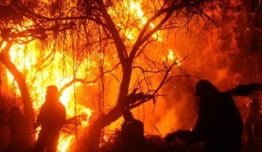 translated from Spanish: CDMX. Falls incendiary, caused grassland accident