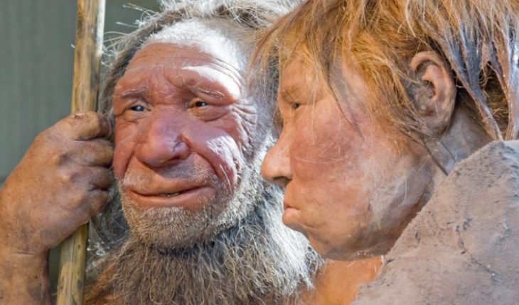 translated from Spanish: Scientific study found that Neanderthals were routinely mixed with modern humans