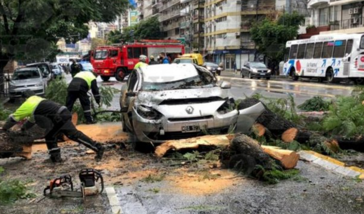 Cayó un árbol sobre un auto en Palermo y dejó dos heridos