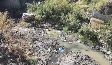 Exigen solución por aguas negras en colonia de Culiacán