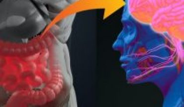 La estrecha relación entre la microbiota intestinal y la enfermedad de Parkinson
