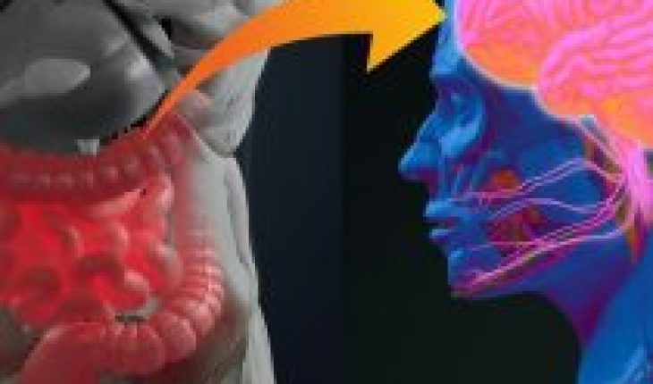 La estrecha relación entre la microbiota intestinal y la enfermedad de Parkinson