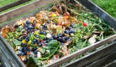 Residuos orgánicos: el valor del compostaje y el vermicompostaje
