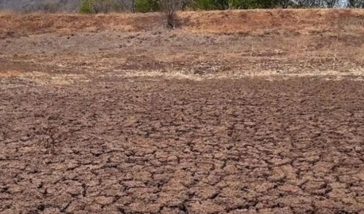 Sequía en México 2021: Servicio Meteorológico Nacional