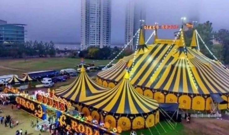 translated from Spanish: Circus stranded in Rosario will become one of the largest testing centers in the country